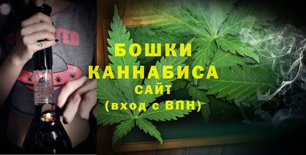 ПСИЛОЦИБИНОВЫЕ ГРИБЫ Богородск