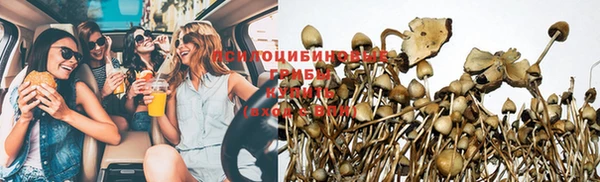 ALPHA-PVP Армянск