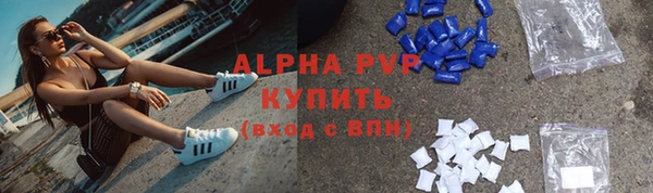 стаф Алексин